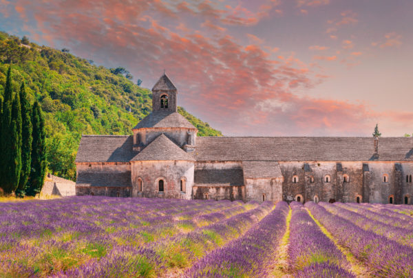 Notre-dame De Senanque Abbey, Vaucluse, France. Beautiful Landscape Lavender Field And An Ancient Monastery Abbaye Notre-dame De Senanque. Elevated View, Panorama. Altered Sunset Sky