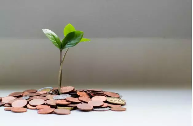 Four Growth Strategies Media Companies Are Prioritizing Right Now