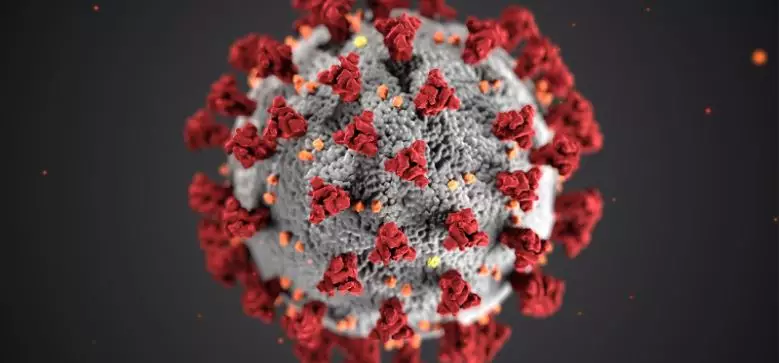 How media organizations can cover corona virus