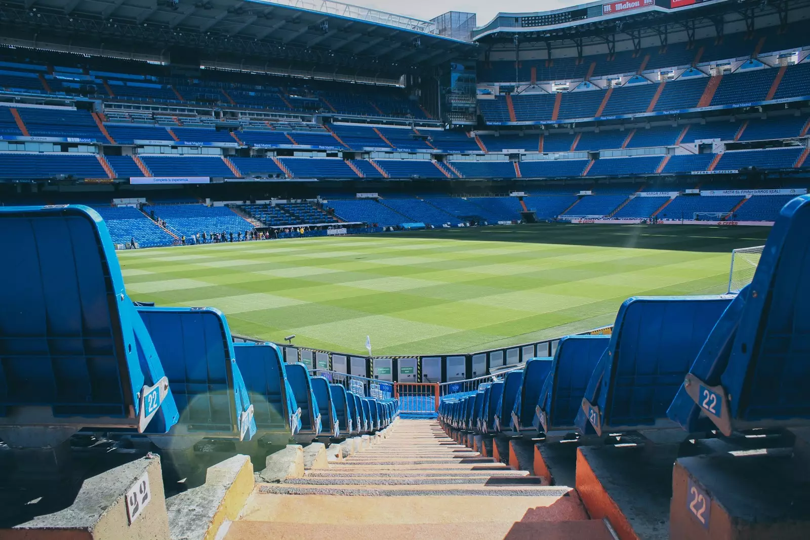 The Importance of Engaging Sports Fans Online in a World Without In-Person Audiences